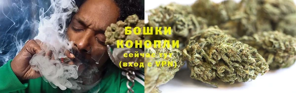 СК Кодинск