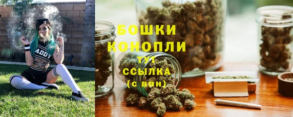 СК Кодинск