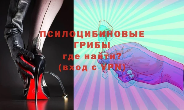 прущие грибы Киренск