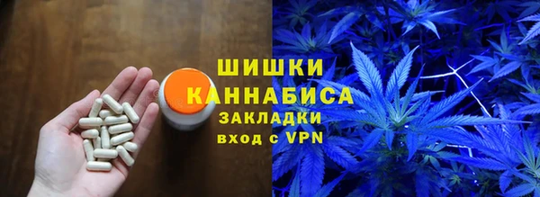 СК Кодинск