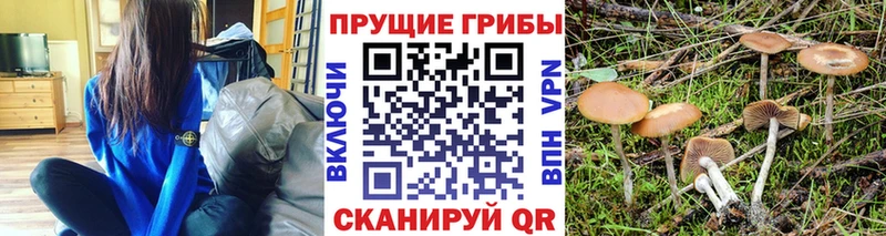 Псилоцибиновые грибы мухоморы  наркота  Кузнецк 